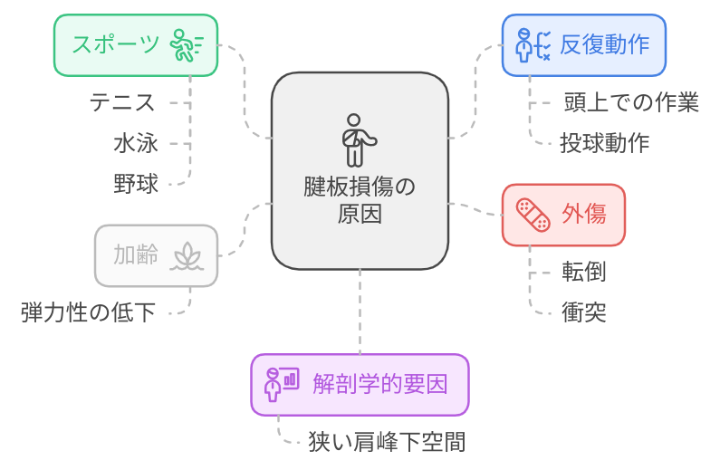 腱板損傷について