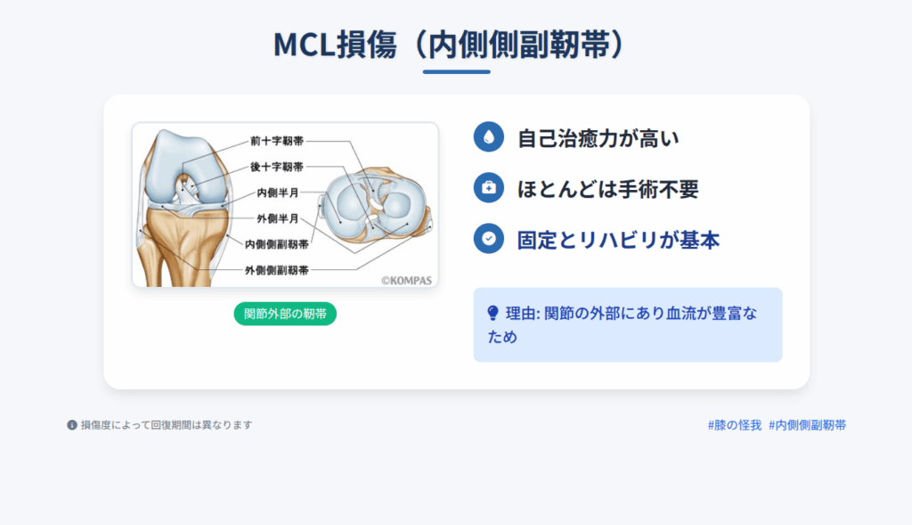 MCL損傷(内側側副靭-帯)の治療方針を解説するインフォグラフィック。膝関節の解剖図と共に、「自己治癒力が高い」「ほとんどは手術不要」「固定とリハビリが基本」といったポイントが示されている。