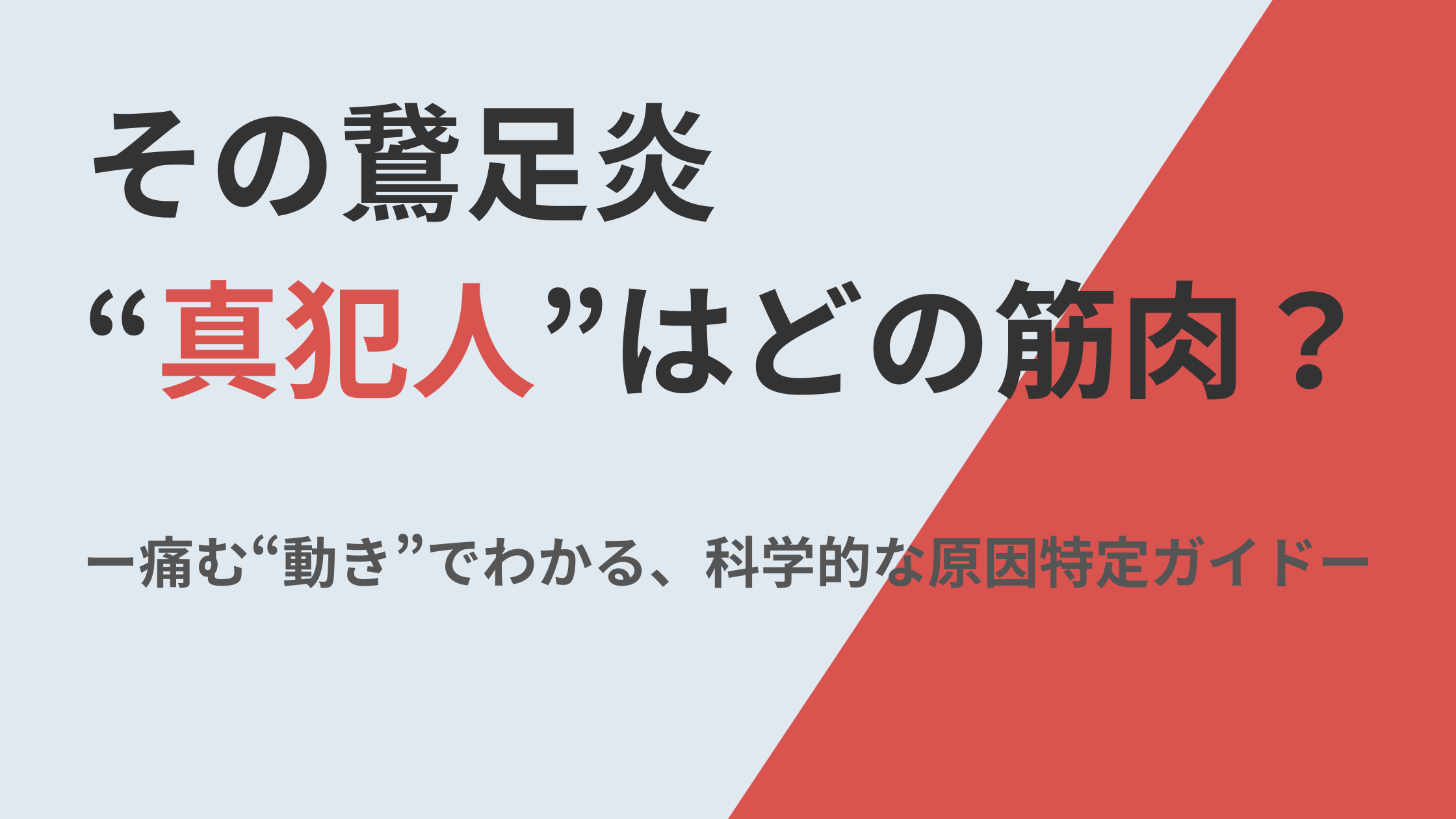「その鵞足炎、“真犯人”はどの筋肉？」という力強い問いかけが書かれた、なかの接骨院の専門解説記事のアイキャッチ画像。知的なライトグレーの背景を、警告を示す鮮やかな赤色が斜めに切り裂く、印象的なデザイン。