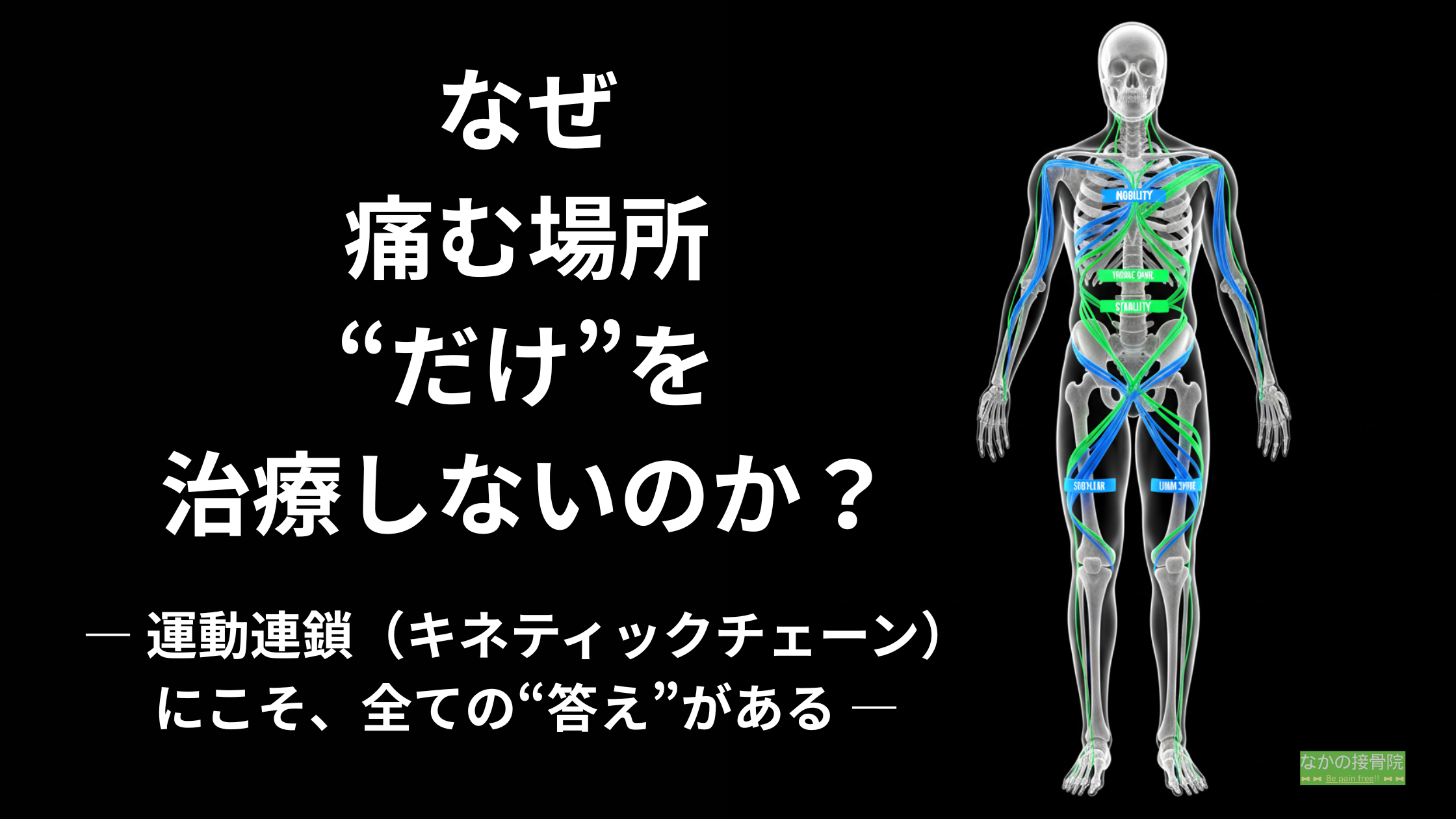 運動連鎖(キネティックチェーン)の思想を、人体の骨格図と、青(可動性)と緑(安定性)のラインで、美しく可視化した、当院の治療哲学を解説する、旗艦ページのアイキャッチ画像。
